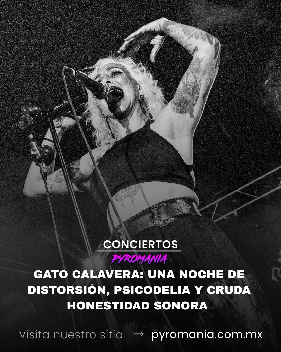 Gato Calavera: una noche de distorsión, psicodelia y cruda honestidad sonora